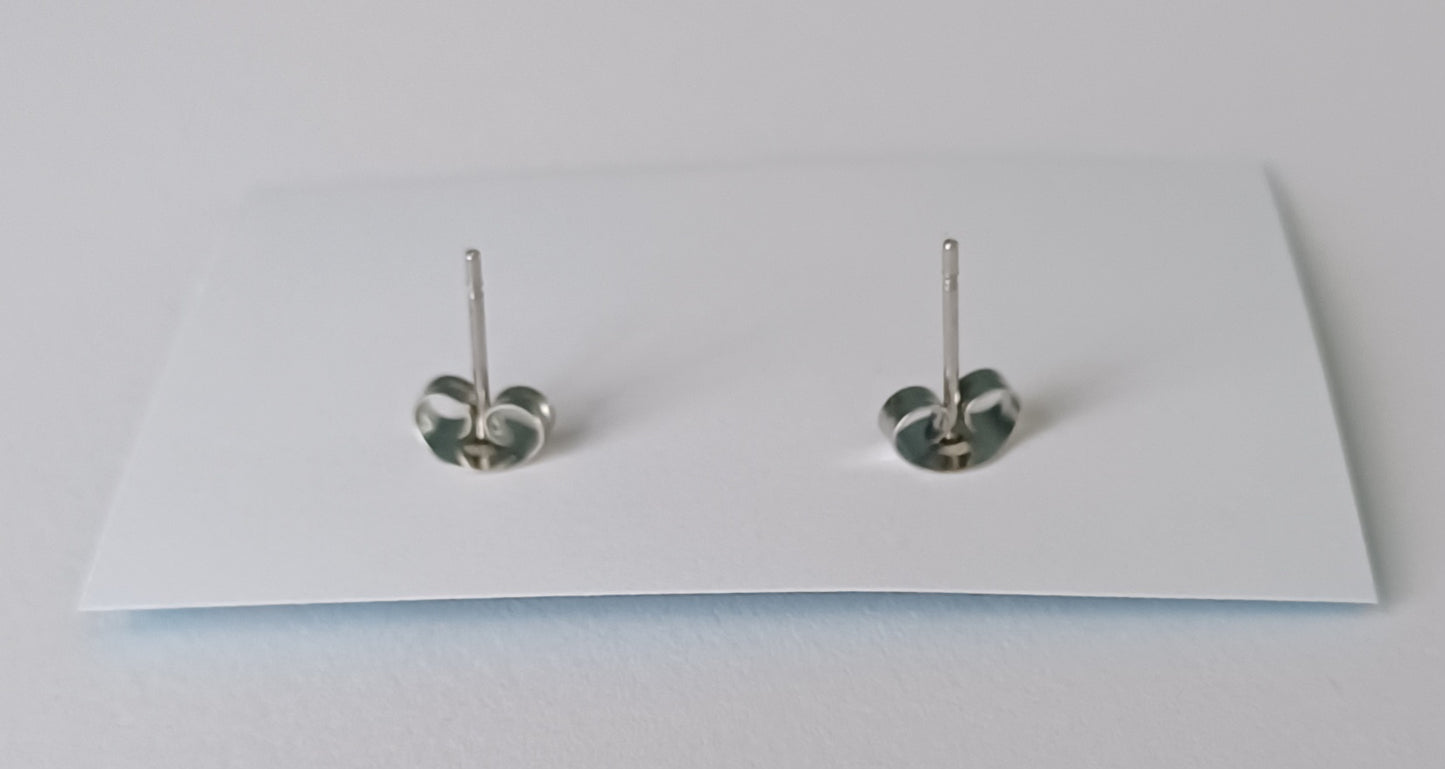 Earrings (studs) - Aro Ace Flag